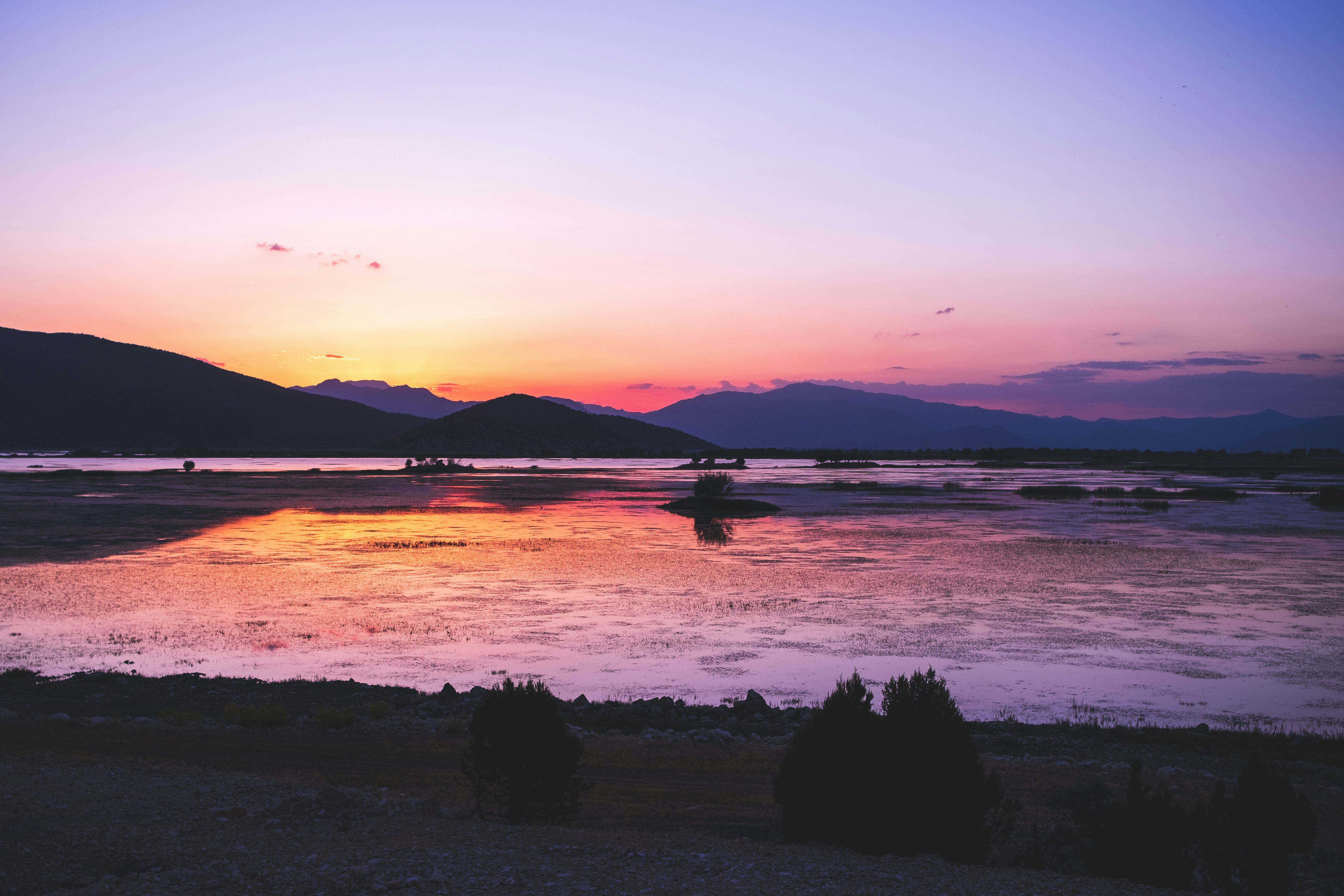 silhouette of trees near body of water during sunset